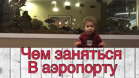 Аэропорт Шереметьево. Priority Pass.VIP-зал