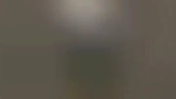 Бои в терминале Д шереметьево