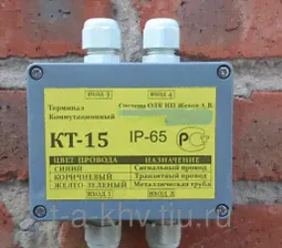 Терминал СОДК концевой с выходом на детектор