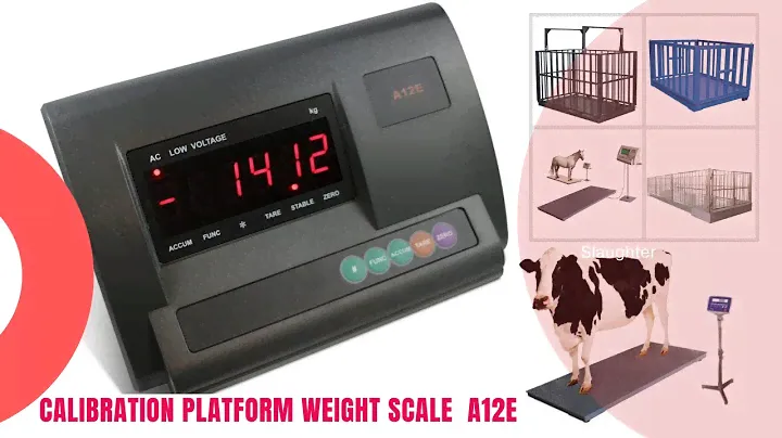 Calibration Platform Weight scale | A12E | Scale Calibration | Portable weight scale calibration