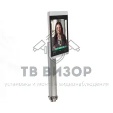 Терминал доступа R20-Face (8T)